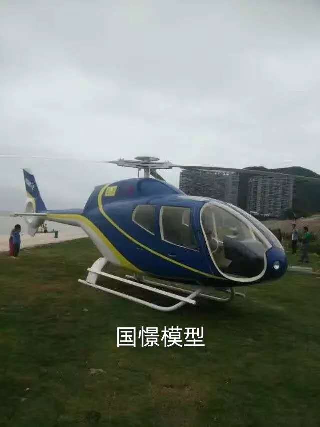 夏津县飞机模型